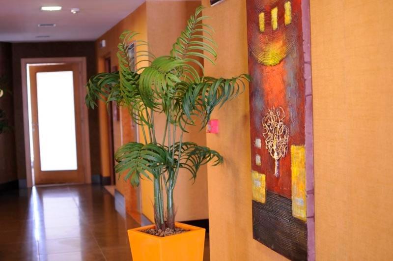 Hotel Fly Casoria Exterior foto